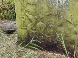 A Mysterious Pictish Stone